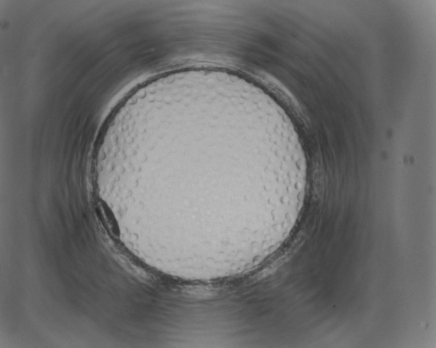 X0000081431182200702092152