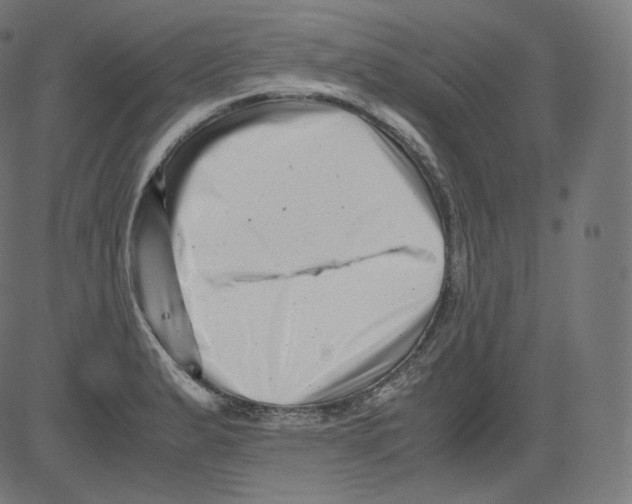 X0000081431183200702092152