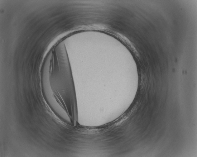 X0000081431184200702092152