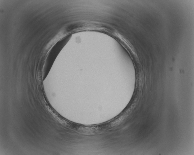 X0000081431185200702092152