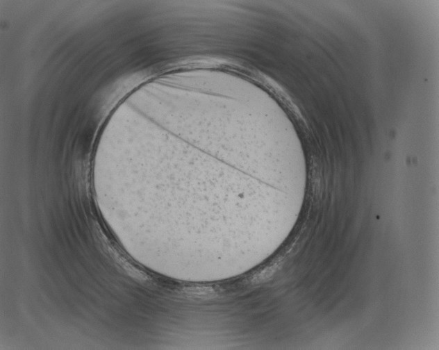 X0000081431186200702092152