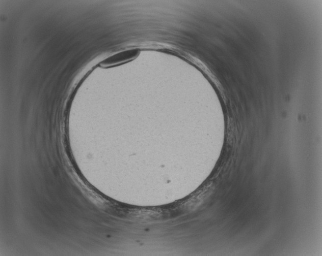 X0000081431187200702092152