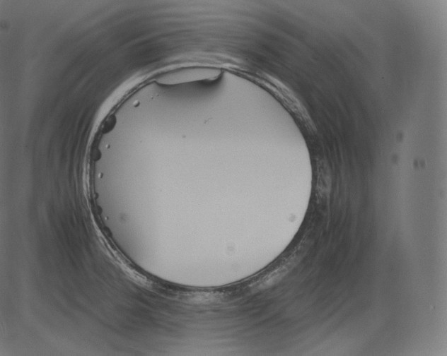 X0000081431188200702092152