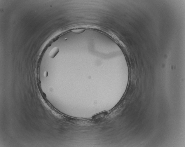 X0000081431189200702092152