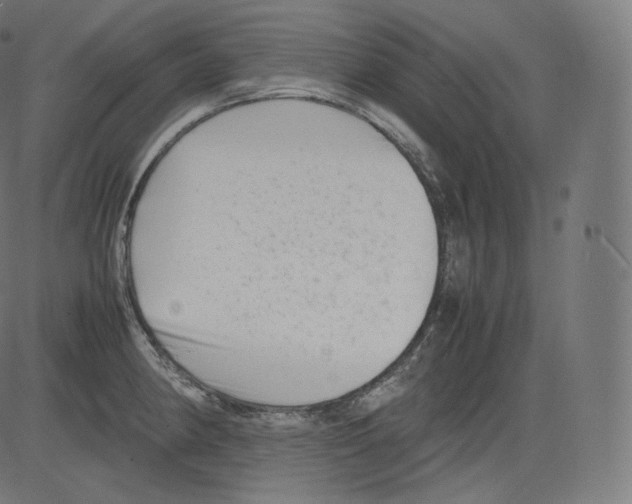 X0000081431190200702092152