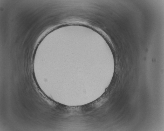 X0000081431191200702092152