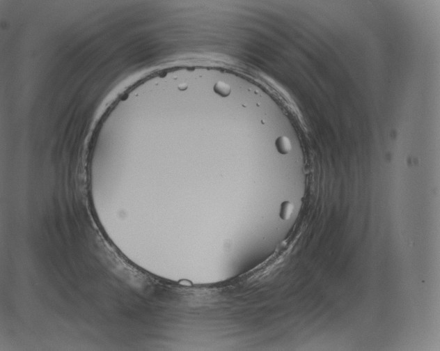 X0000081431192200702092152