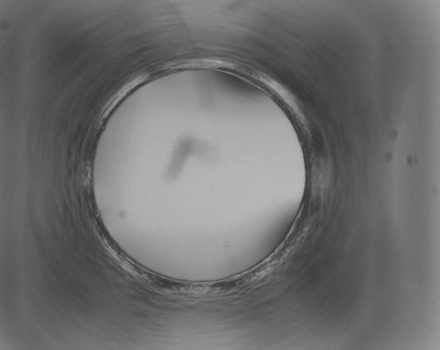 X0000081431193200702092152