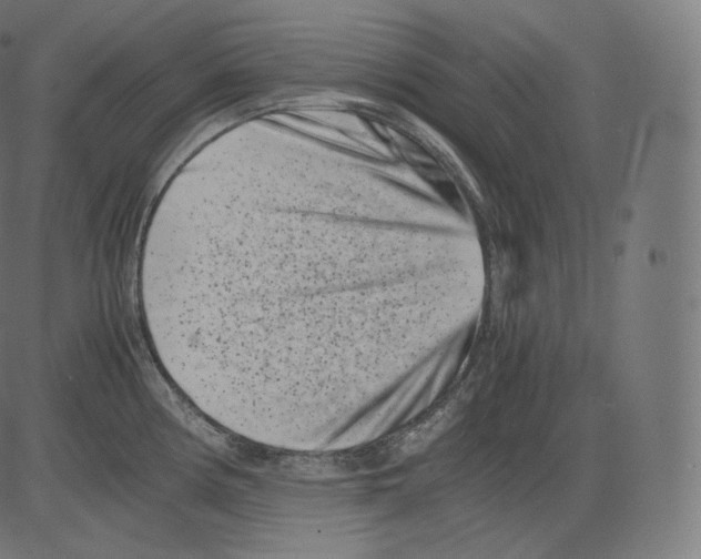 X0000081431194200702092152