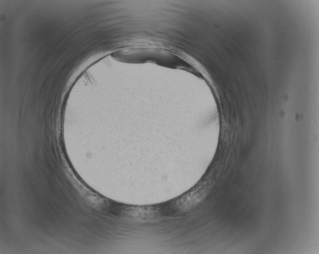 X0000081431195200702092152