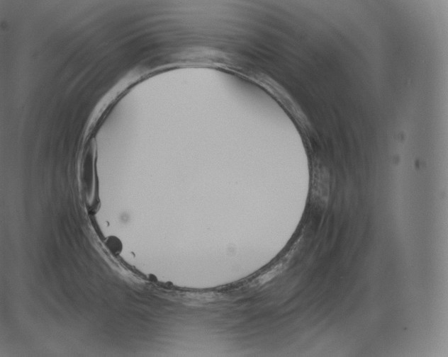 X0000081431196200702092152