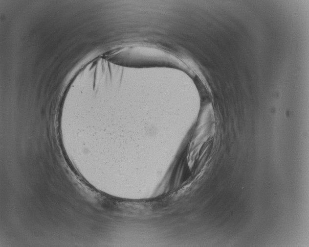 X0000081431197200702092152