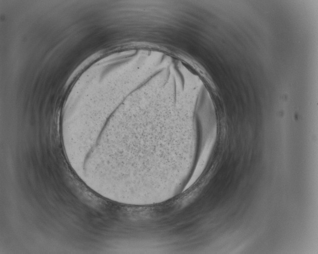 X0000081431198200702092152