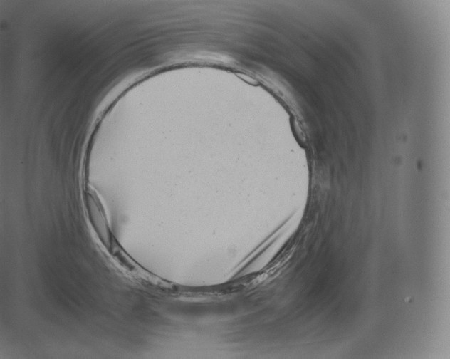 X0000081431199200702092152