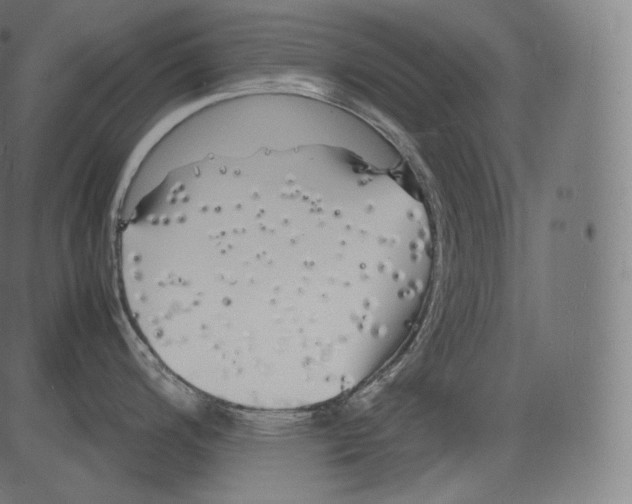 X0000081431200200702092152