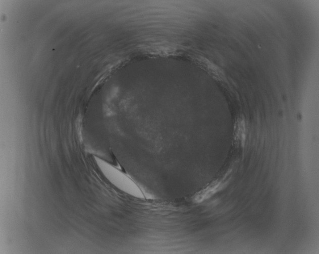 X0000081431202200702092151