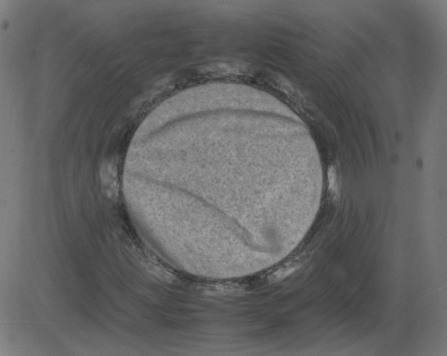 X0000081431203200702092151