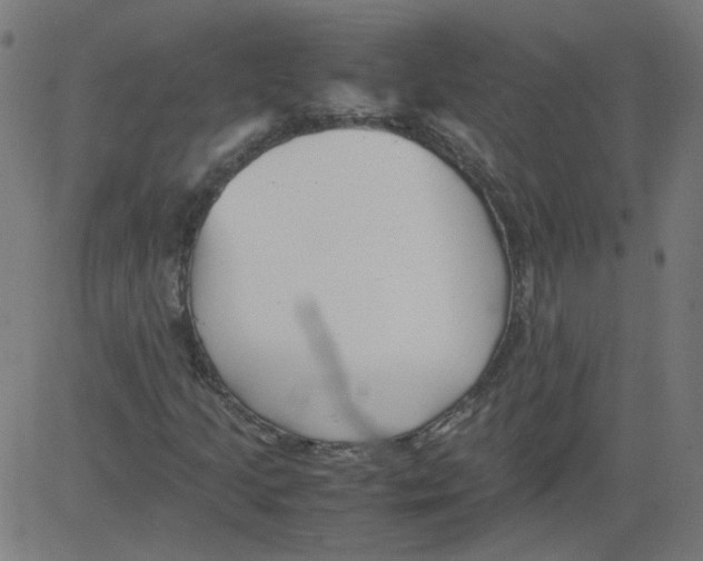 X0000081431205200702092151