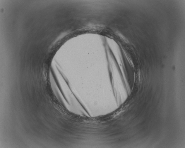 X0000081431206200702092151