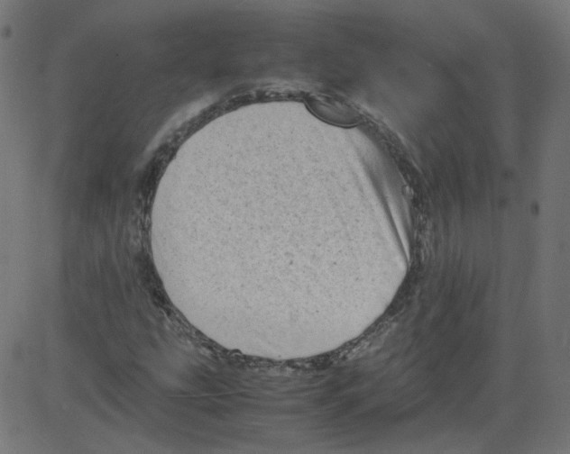 X0000081431207200702092151