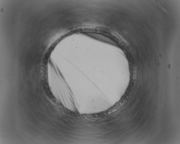 X0000081431208200702092151