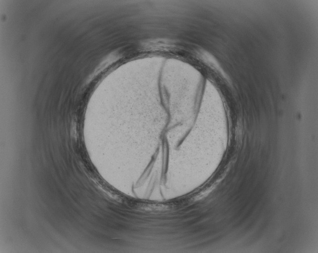 X0000081431209200702092151