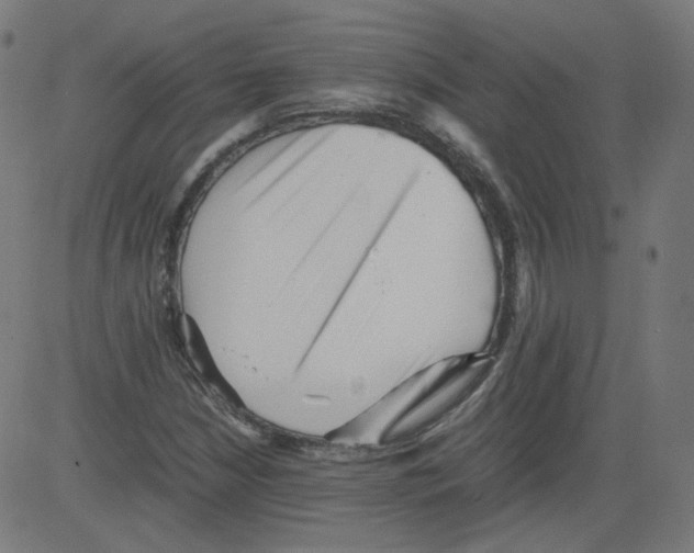 X0000081431210200702092151