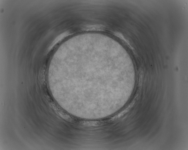 X0000081431211200702092151