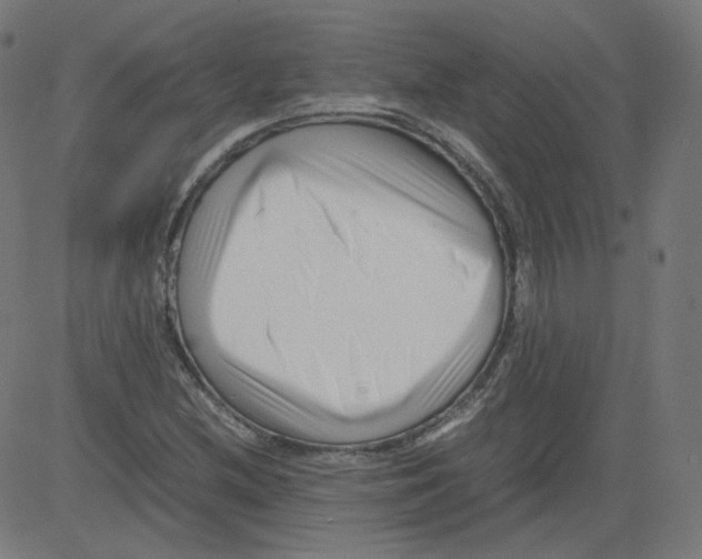 X0000081431212200702092151