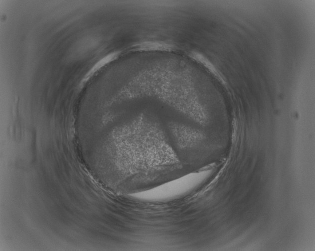 X0000081431213200702092151