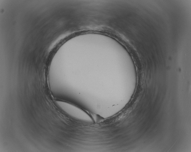 X0000081431214200702092151