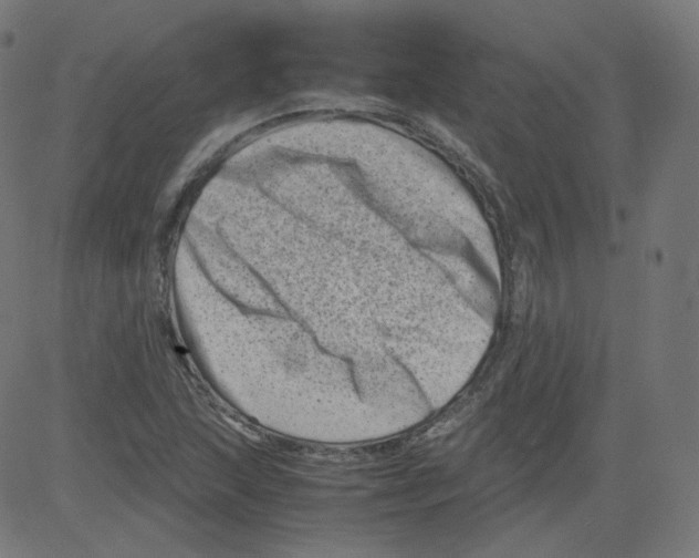 X0000081431215200702092151