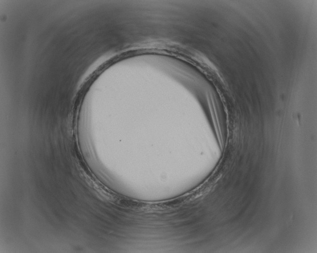 X0000081431216200702092151