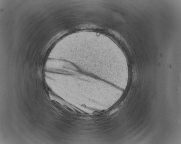 X0000081431217200702092151