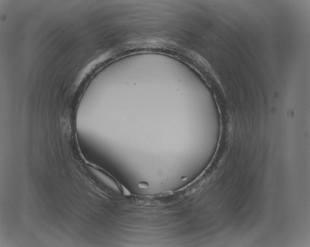 X0000081431218200702092151