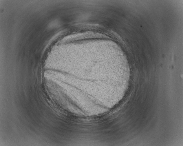 X0000081431219200702092151