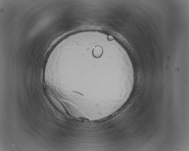 X0000081431220200702092151