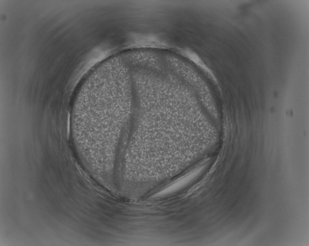 X0000081431221200702092151