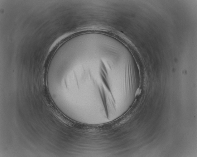 X0000081431222200702092151