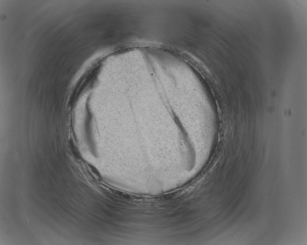 X0000081431223200702092151