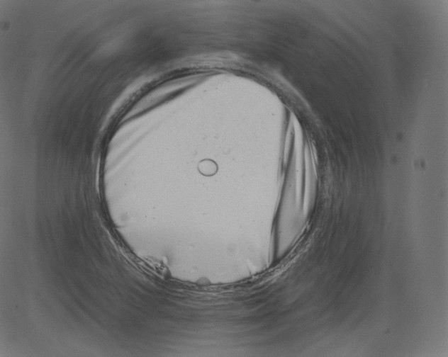 X0000081431224200702092151