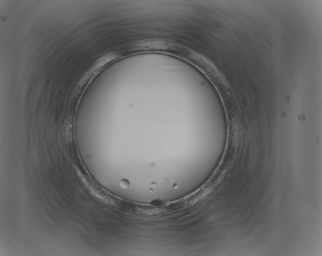 X0000081431225200702092151