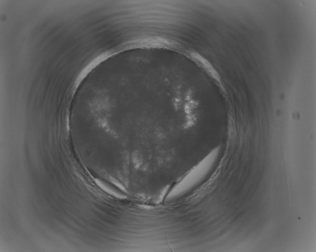 X0000081431226200702092151