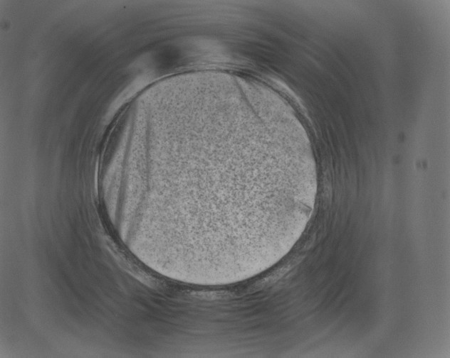 X0000081431227200702092151