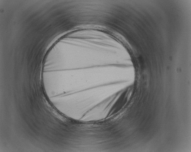 X0000081431228200702092151