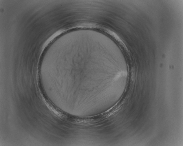 X0000081431229200702092151