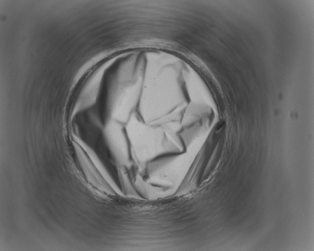 X0000081431230200702092151