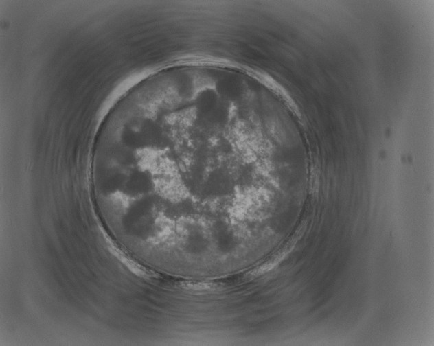 X0000081431231200702092151