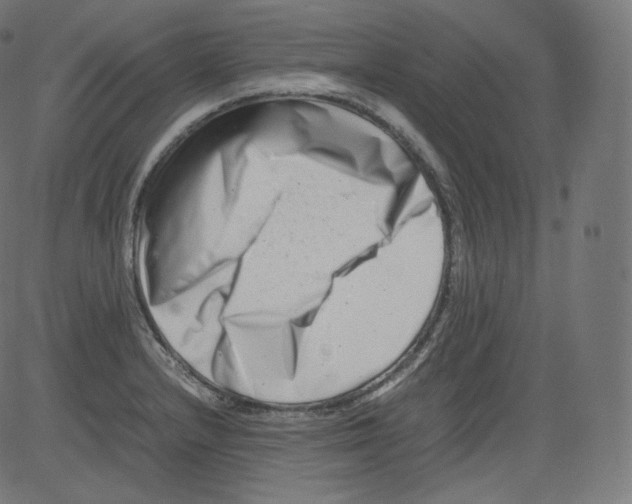 X0000081431232200702092151