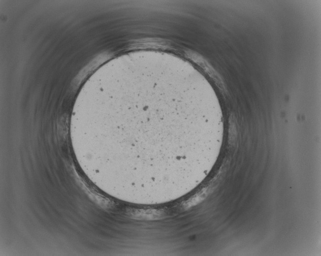 X0000081431233200702092151